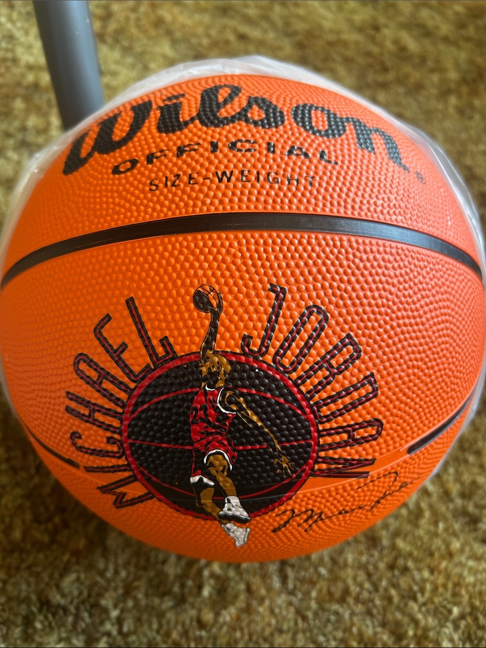 Wheaties Michael Jordan Basketball